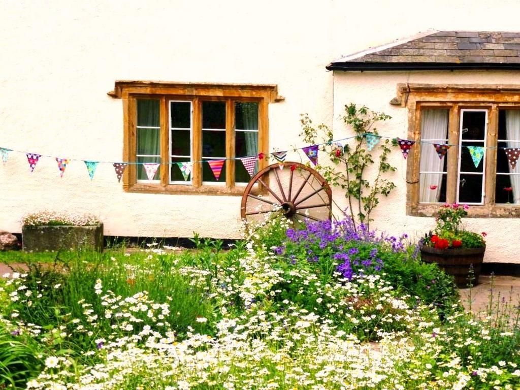 Huntstile Organic Farm Bed and Breakfast Bridgwater Exteriör bild